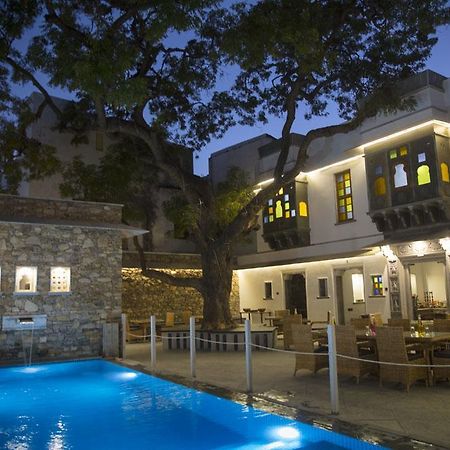 우다이푸르 The Neem Tree B&B 외부 사진